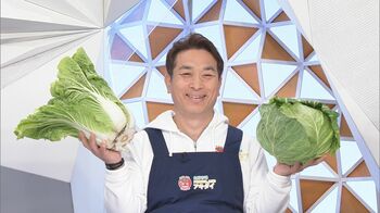 白菜1000円超も!? 野菜「高騰」いつまで…旬の春野菜も影響 アキダイ社長が教える今が旬で“安い”オススメ野菜