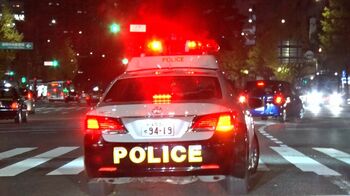 「捕まってたまるか」ひき逃げ犯からの電話…現場に残された謎を解け！