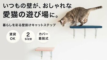 【壁に跡が残りにくい】大きな穴を開けない極細ピンを採用！愛猫との暮らしになじむ「&POM 壁掛けキャットステップ」が10月29日よりMakuake先行販売開始