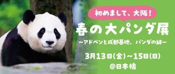 【3日間限定】祝・大阪初開催！ 「初めまして、大阪！ 春の大パンダ展」を開催！