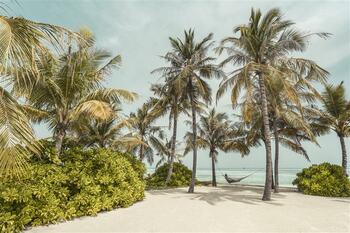 【クラブメッド】新年のスタートは、旅をもっと自由に、もっとお得に！