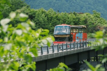 【飛騨高山・岐阜県高山市】運行2年目！地元小学生が名付けた「おくひだマウンテンバス」が新緑シーズンに運行決定
