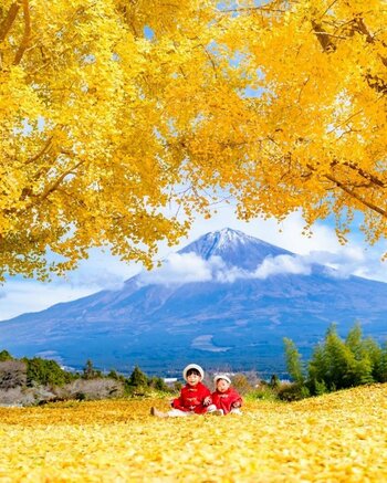 インスタグラム「秋のフォトコンテスト2025」結果発表！