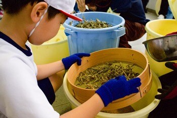 小豆島で創業168年のごま専業メーカー「かどや」4年目となる「ごまでつながる持続可能な島」を目指す取り組み『ごまのみらい小豆島プロジェクト』