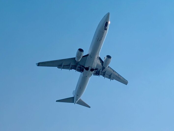 【早春の多摩川クルーズ】“羽田空港沖で航空機ウォッチ体験”のチケットが絶賛発売中！