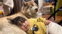 「どっちの手にある？」2歳男の子がシベリアン・ハスキーにおやつクイズ！まるで本当の兄弟のような姿に「最高のバディね」【激かわキッズ＆アニマル奇跡の瞬間】