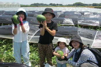 子どもたちが生産者とともに収穫体験　八千代町で「メロン・すいかまつり」6月27日（土）〔茨城 栃木〕