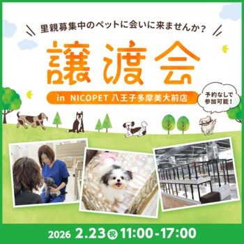 2026年2月23日（祝）ペッツファーストグループ譲渡会 開催のお知らせ in NICO PET八王子多摩美大前店
