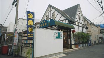 食事も金魚釣りも楽しめる！本郷の喫茶店「金魚坂」をご紹介！『純喫茶に恋をして』ロケ地