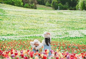 【地元再発見】GWは「近場」で感動体験。100万株のスイセンが咲き誇る「ノルンみなかみフラワーガーデン」が開園。愛犬との空中散歩や宝石探しが楽しめる「山遊び」の新定番。