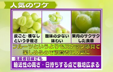 注目】今が旬「シャインマスカット」進化の最前線 “次世代型品種