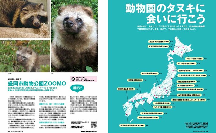 もふもふ感がたまらない 注目度上昇中のタヌキを徹底解剖！生態から