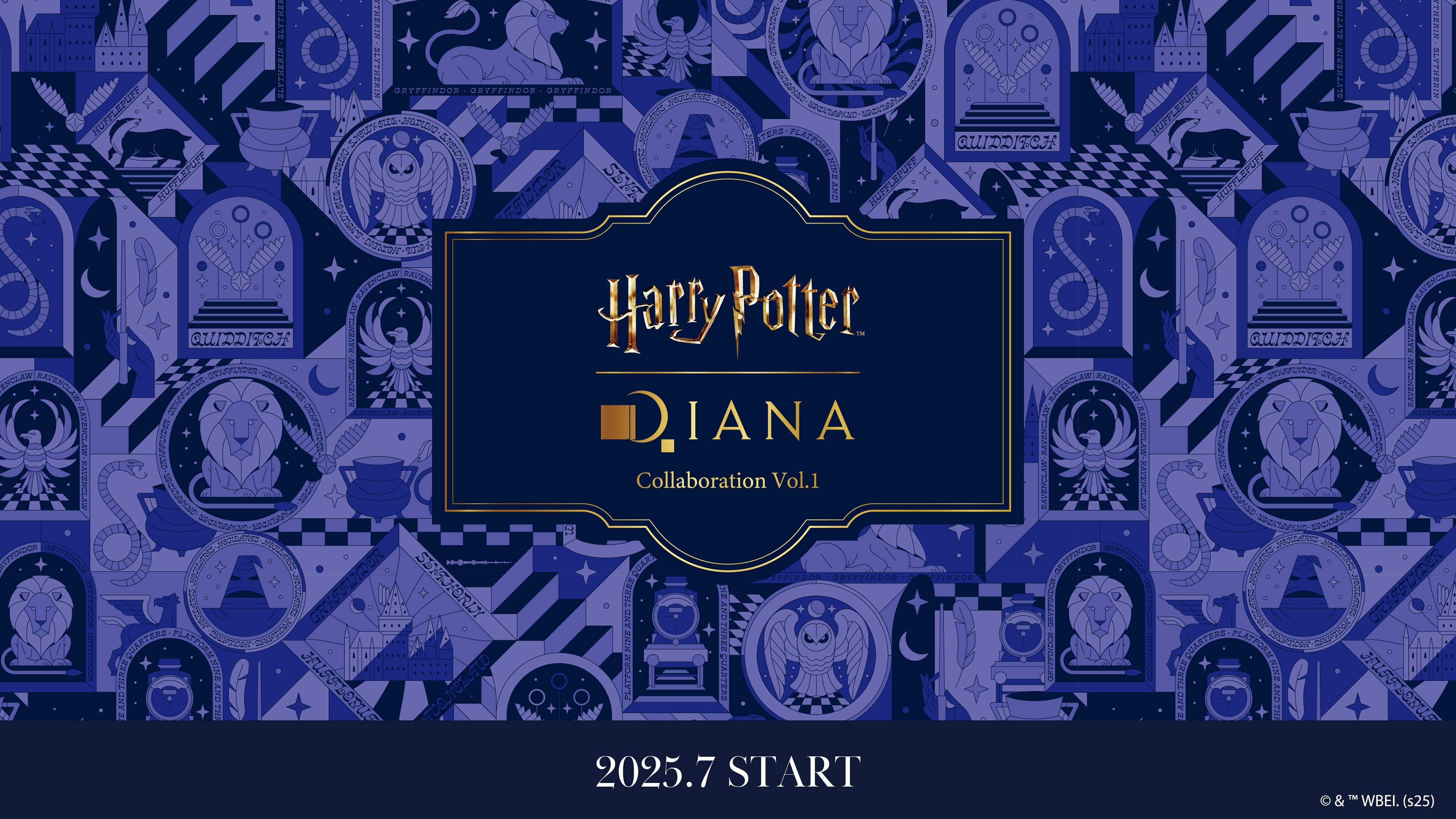 ダイアナ ハリーポッター コラボ シューホーン 靴べら4点セット ダイアナ ハリーポッター コラボ シューホーン 靴べら4点セット