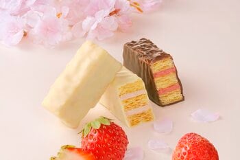 春の訪れを告げる、さくらといちごの季節限定スイーツ「さくらスプリング」発売