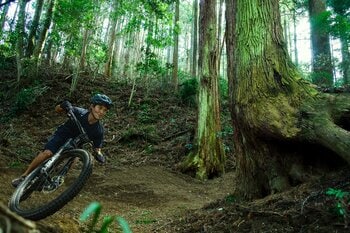 300年の森を　“飛びまわる”　“駆け抜ける”