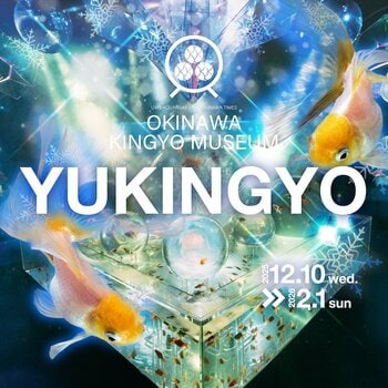 南国沖縄、白い金魚が織りなす雪景色「YUKINGYO」企画展が沖縄金魚ミュージアムで本日より開催！白いツリーと雪降る演出が調和し、館内を冬仕様へと彩る期間限定デザイン