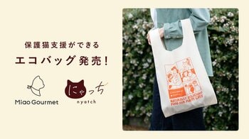 動物愛護週間を記念してミャオグルメ・にゃっちから保護猫支援ができるエコバッグが発売。