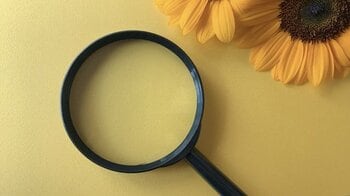 世界6体目のニホンオオカミの剥製を発見した“中学生研究者”小森日菜子さんと母の自由研究の取り組み方「子どもがくれた機会だと思って何でも楽しむ」