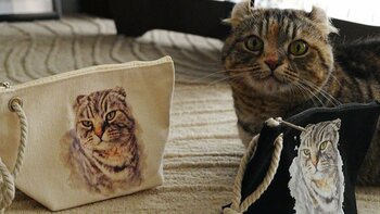 TikTokで6万人超が見守る猫「メメちゃん」がポーチに。人気猫クリエイター「ペンナピト」が手がけるMÊMÊ HOUSEから新作登場