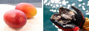 【旬のおすすめグルメ】初夏の「海の幸＆山の幸」はやっぱりこれ！定番フルーツや意外な食材も？