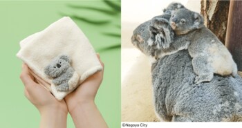 【名古屋市・東山動植物園監修】まるでオムツ？赤ちゃんコアラの“期間限定の白いおしり”を再現したハンカチ＆トートがYOU+MORE!［ユーモア］から誕生。