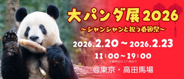 2026年初開催】4日間限定のパンダ祭典！「大パンダ展 ～シャンシャンと
