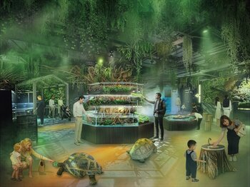 生きものとのふれあいや新たな発見に出会える空間へ　アトア2階「ELEMENTS 精霊の森」がリニューアルOPEN！