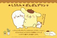 「しろたん×ポムポムプリン」コラボグッズが7月31日から発売開始！ふわふわの抱き枕やユニークなTシャツなどかわいさ全開のラインアップに注目
