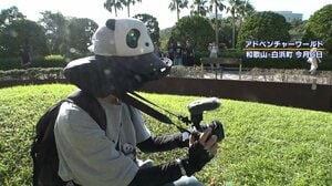 パンダ4頭返還から約3カ月…“パンダの街”白浜町の今　空のパンダ舎に長蛇の列　ファンのお目当ては？「ここに座って食べていた」