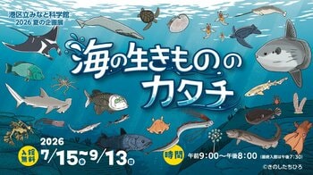 港区立みなと科学館 2026 夏の企画展「海の生きもののカタチ」開催について