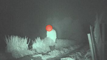 『張り込んでみたらドロボーが現れた』FODプレミアムで配信！