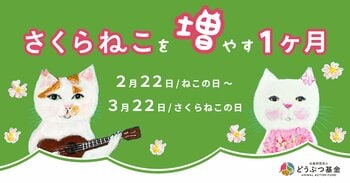 殺処分ゼロを本気で目指す公益法人がサポーターを大募集！「さくらねこを増やす1か月」キャンペーン、本日スタート！