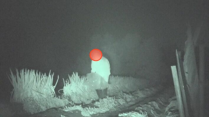 『張り込んでみたらドロボーが現れた』FODプレミアムで配信！