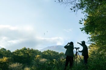 【星のや軽井沢】日本屈指の探鳥地、国設「軽井沢野鳥の森」を専門家と巡る「軽井沢バードウォッチングステイ」開催