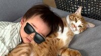 猫のはみ肉でトミカがもふもふ渋滞！？2歳の男の子が優しくどかすも…全く動じない様子に「何度も笑って見ちゃう」【激かわアニマル＆キッズ奇跡の瞬間】