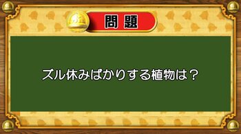 【おめざめ脳トレ】なぞなぞ！ズル休みばかりする植物は何でしょう？【『クイズ！脳ベルSHOW』より】