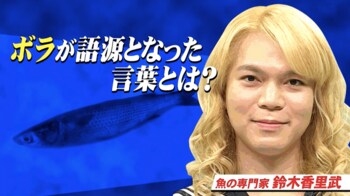 出世魚の「ボラ」が語源となった2つの表現とは？『ネプリーグ』で放送の＜豆知識＞