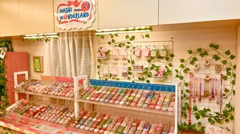 SNS総フォロワー65万人超のrainbowholicが「文具喫茶」から「文具ランド」へ！東京・駒込に“買うだけじゃない”体験型文具店を8月15日にオープン