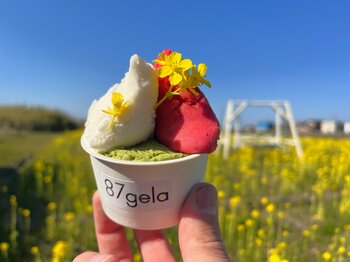 愛犬と楽しむ「お花ジェラート」体験。滋賀・東近江の食用花農園直営店「87gela」が1周年リニューアル、屋根付きテラスを新設！