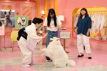 藤あや子の愛猫ヒストリーと保護活動、野呂佳代の愛犬最優先の私生活を紹介！スタジオにサモエド＆マーモットが登場『ザ・共通テン！SP』