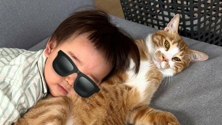 猫のはみ肉でトミカがもふもふ渋滞！？2歳の男の子が優しくどかすも…全く動じない様子に「何度も笑って見ちゃう」【激かわアニマル＆キッズ奇跡の瞬間】