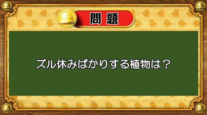 【おめざめ脳トレ】なぞなぞ！ズル休みばかりする植物は何でしょう？【『クイズ！脳ベルSHOW』より】