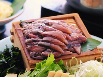 海は蛍、山は花――。　境港のホタルイカとカタクリが告げる春。　休暇村奥大山では、旬を迎えるホタルイカと桜鯛の会席を4月6日より提供開始