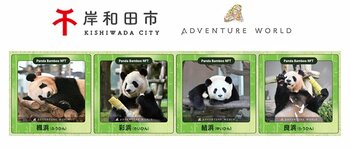 岸和田市×アドベンチャーワールド「パンダバンブープロジェクト」２０２６年２月１日（日）より、「パンダバンブーNFT」の無料配布を開始