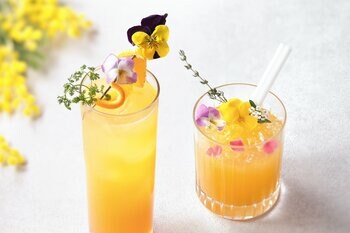 【都ホテル 博多】女性の活躍と前向きな一歩を応援する 「HAPPY WOMAN FESTA 2026」に参画