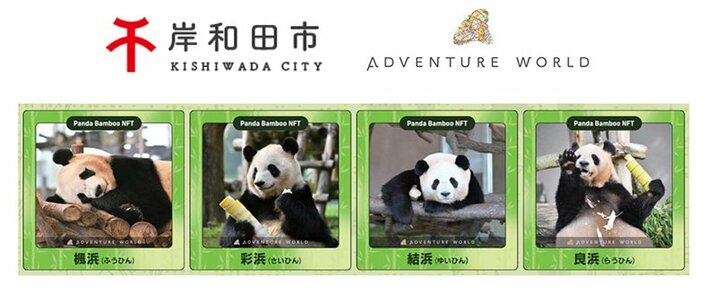岸和田市×アドベンチャーワールド「パンダバンブープロジェクト」２０２６年２月１日（日）より、「パンダバンブーNFT」の無料配布を開始