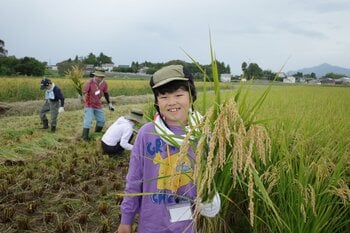 秋の風薫る上越市で稲刈りやみそ仕込み　生産者と体験する郷土文化10月3日（土）4日（日）〔東京〕