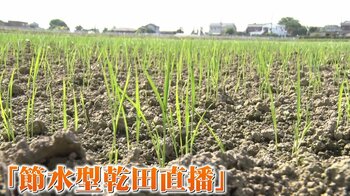 【最先端】乾いた田でコメを作る！？｢節水型乾田直播｣とは　メリットデメリット「機材設備コスト60％削減、加えて投下労働時間が70％減」