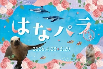 【横浜・八景島シーパラダイス】季節の花と生きものが織りなすシーパラならではのお花見体験『はなパラ』【２０２６年４月２５日（土）～５月２９日（金）】