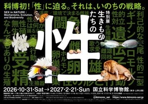 科博初の「性」がテーマ！特別展「生きものたちの性」開催決定　ラランドがアンバサダーに就任！「はじめまして松尾です」とのスペシャルコラボも